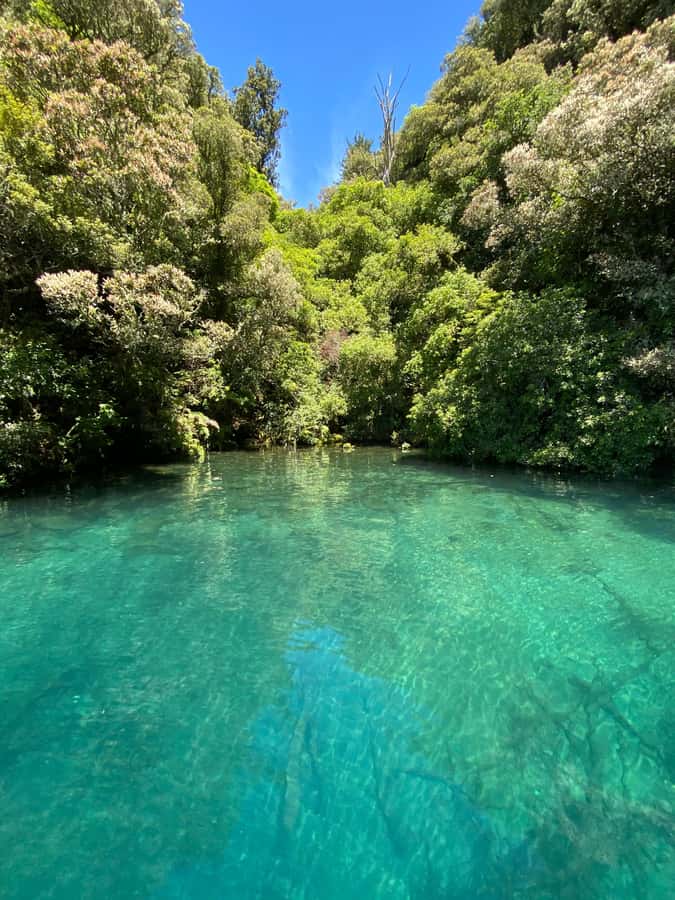 Taupo: Lake Taupo Western Bays Catamaran Tour with Bush Walk - Who will enjoy this trip most