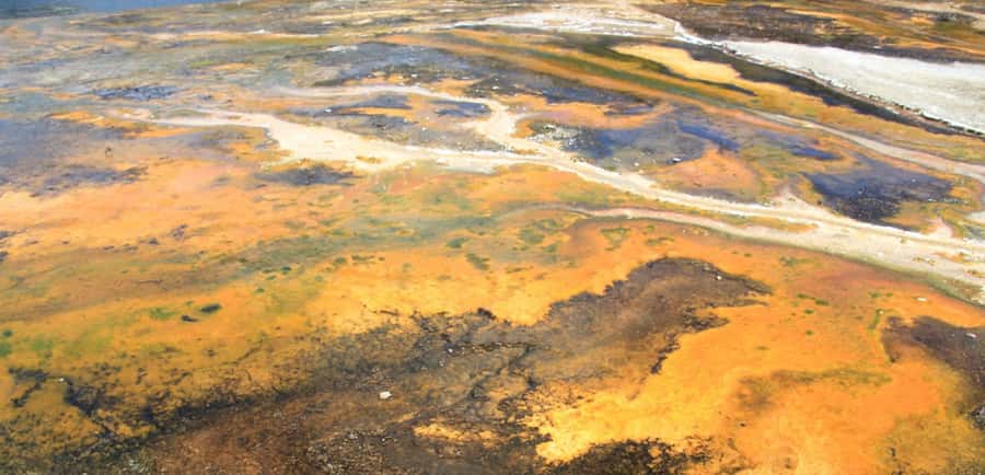 Taupo: Orakei Korako Geothermal Park and Cave Entry Ticket - Geysers, mud pools, and silica terraces