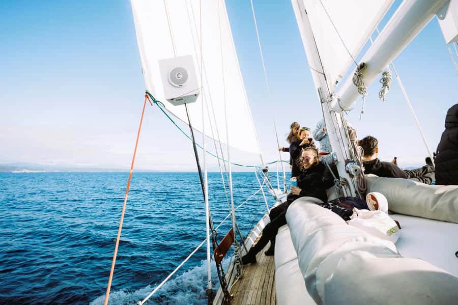 Taupō: Sail Barbary Eco Sailing to the Maori Rock Carvings - What is included for $35