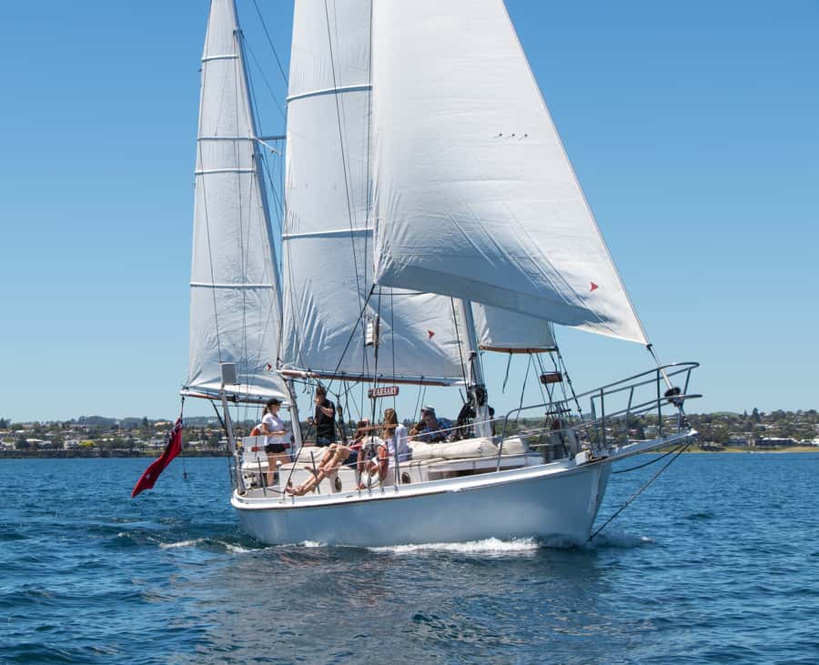 Taupō: Sail Barbary Eco Sailing to the Maori Rock Carvings - Morning, afternoon, and sunset choices