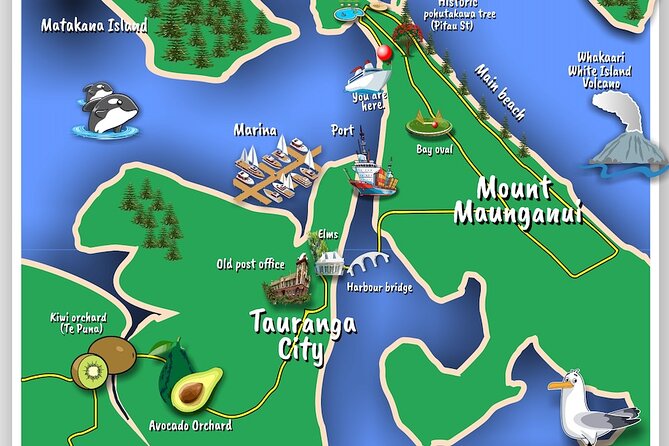 TAURANGA City & Scenic Sightseeing 2-hour Local Bus Tour - Key points at a glance