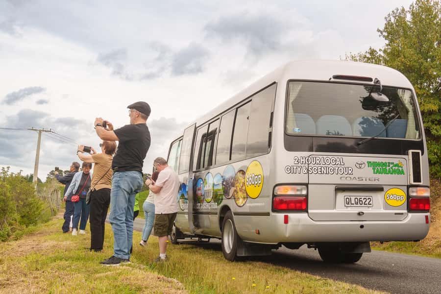 Tauranga City & Scenic Sightseeing 2-hour Local Tour - Driving around Mount Maunganui