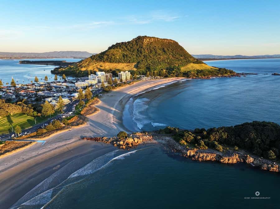 Tauranga City & Scenic Sightseeing 2-hour Local Tour - Tauranga’s old buildings from the road