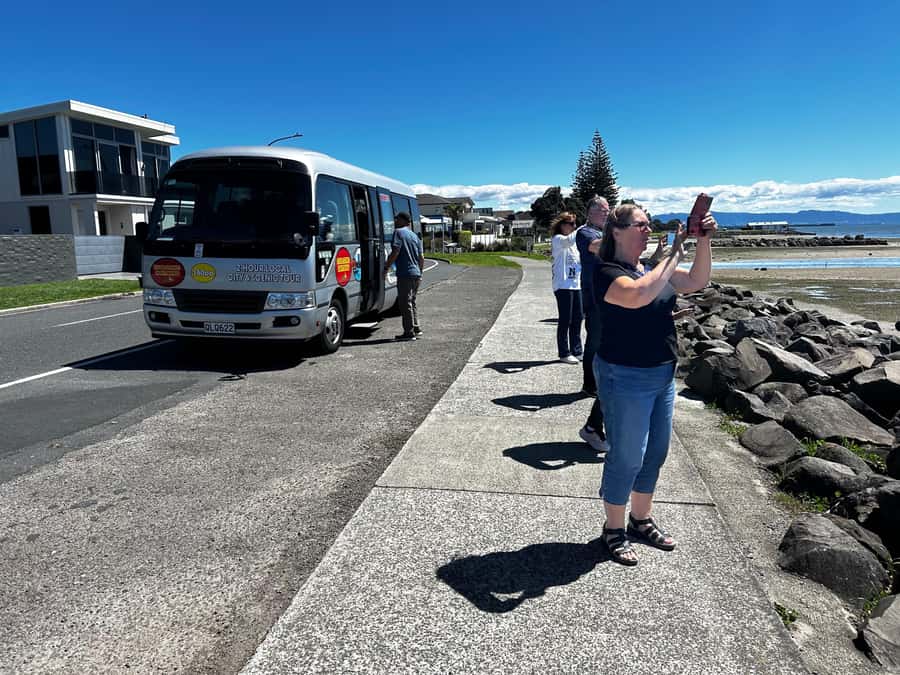 Tauranga City & Scenic Sightseeing 2-hour Local Tour - $47 value on a cruise-ship port day