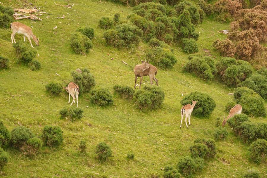 Tauranga City & Scenic Sightseeing 2-hour Local Tour - Pickup details you should handle carefully