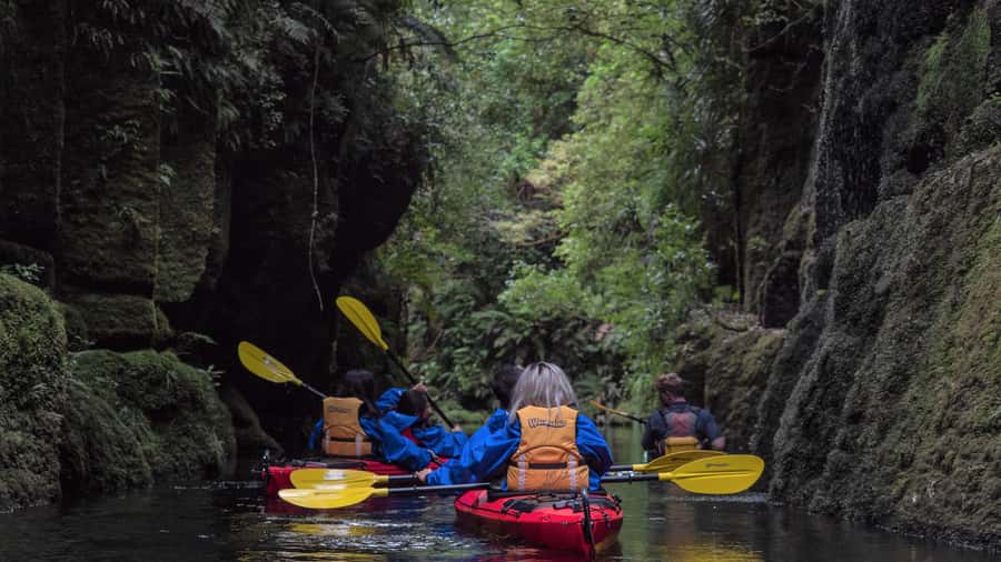 Tauranga: Daytime Scenic Lake McLaren Kayak Tour - Key points to know before you paddle