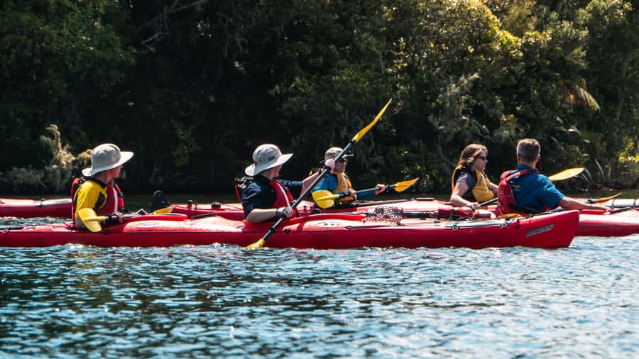Tauranga: Daytime Scenic Lake McLaren Kayak Tour - A quiet water escape from Tauranga