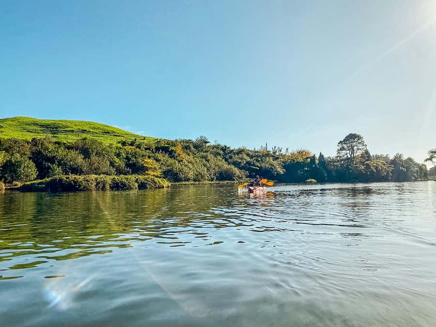 Tauranga: Daytime Scenic Lake McLaren Kayak Tour - Following the lake edge and its birdlife