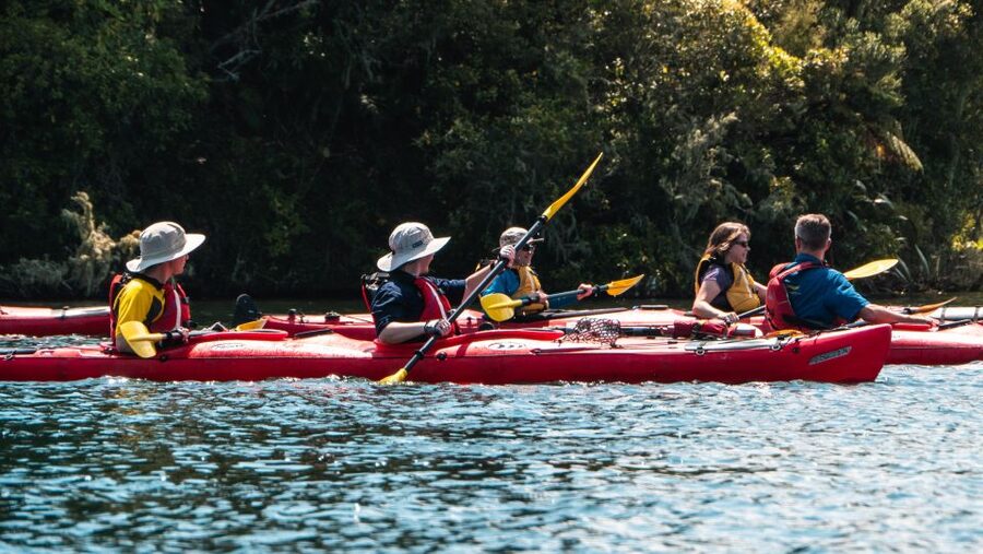 Tauranga: Daytime Scenic Lake McLaren Kayak Tour - Guide quality and the human side of the trip