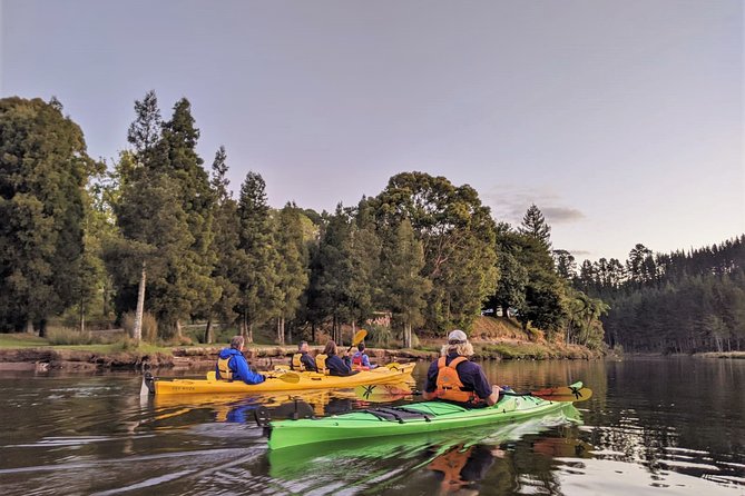 Tauranga: Evening Glowworm Kayak Tour - Why the canyon is the real reason to go