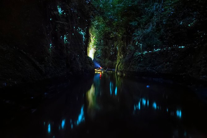Tauranga: Evening Glowworm Kayak Tour - How the guide shapes the evening