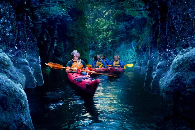 Tauranga: Evening Glowworm Kayak Tour - The scenic ride to Lake McLaren