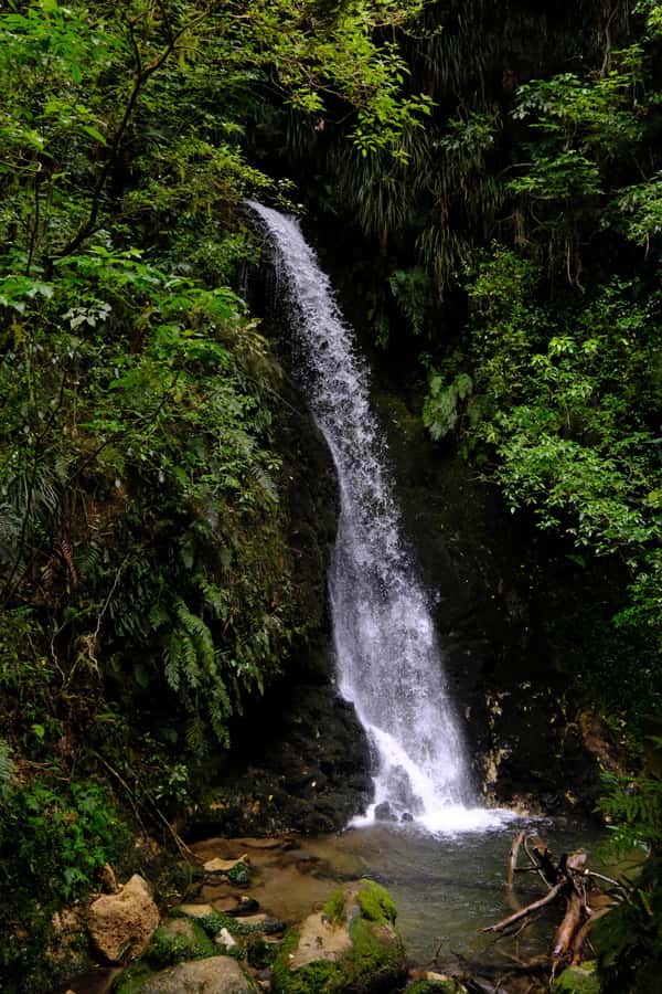 Tauranga: Kiwifruit Destination and Sights Shore Excursion - Key points to know before booking