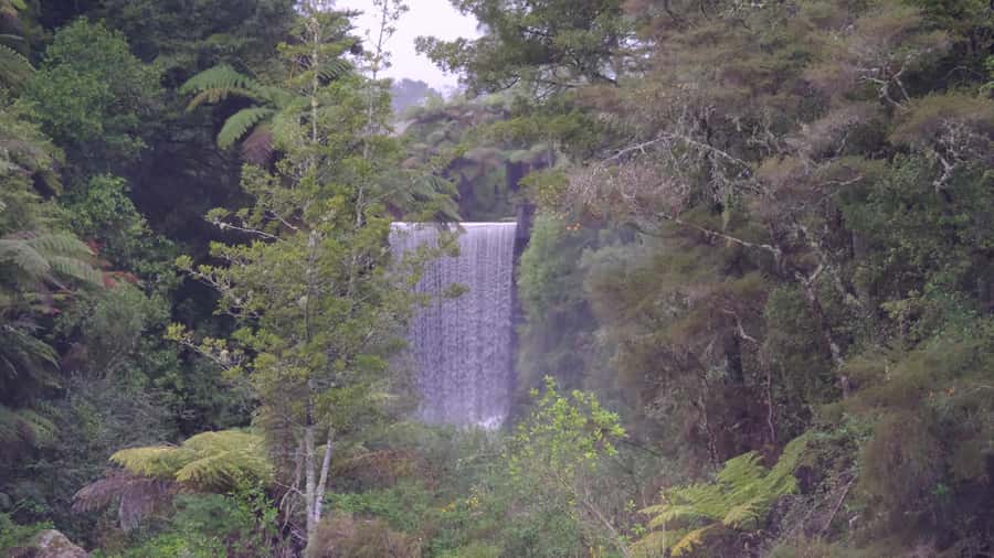 Tauranga: Kiwifruit Destination and Sights Shore Excursion - From Mount Maunganui beach to the Tauranga hills