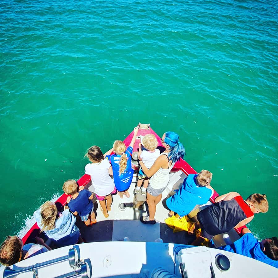 Tauranga: Mount Maunganui Harbour Sightseeing Cruise - What the one-hour route feels like