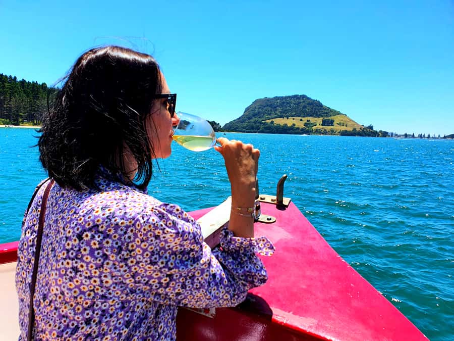Tauranga: Mount Maunganui Harbour Sightseeing Cruise - Tauranga Harbour gives you more than a mountain view