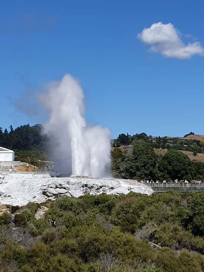 Tauranga: Rotorua Redwoods Tour & Maori Village Experience - Why this Tauranga to Rotorua day works