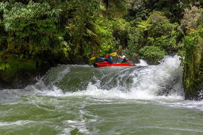Tauranga Shore Excursion: Rotorua Highlights - Key points before you book