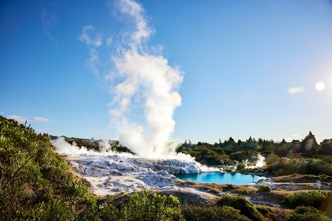 Tauranga Shore Excursion: Rotorua Highlights - Lunch in Rotorua is practical, not special