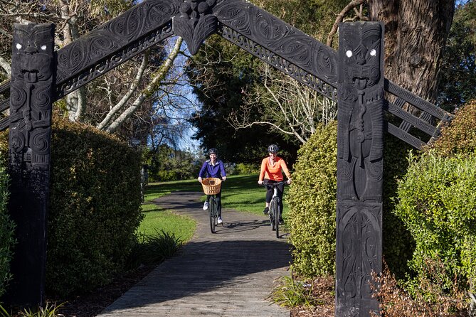 Tauranga Shore Excursion: Top Half Day Curated Highlights Tour - McLaren Falls Park, the tour’s main event