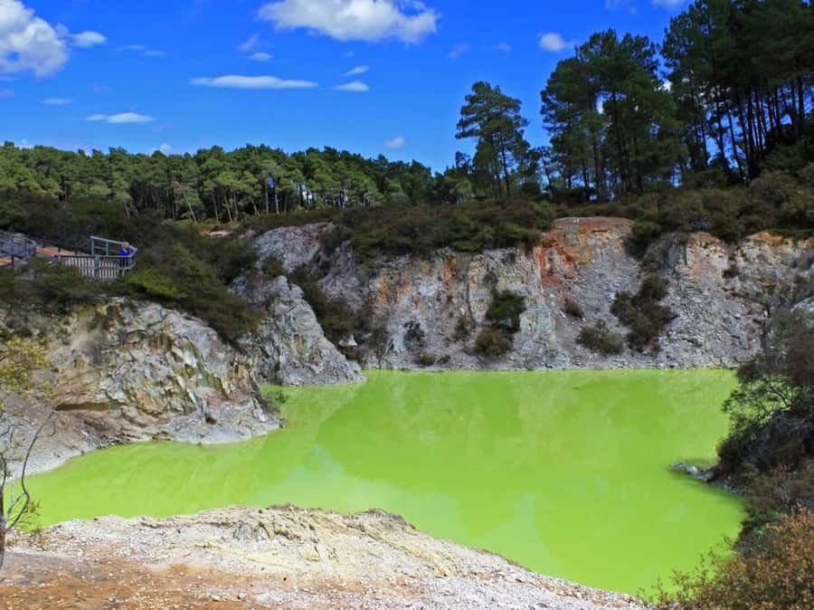 Tauranga: Wai-o-Tapu with Redwood Forest Walk or Forest Spa - From Tauranga port to Rotorua’s geothermal country