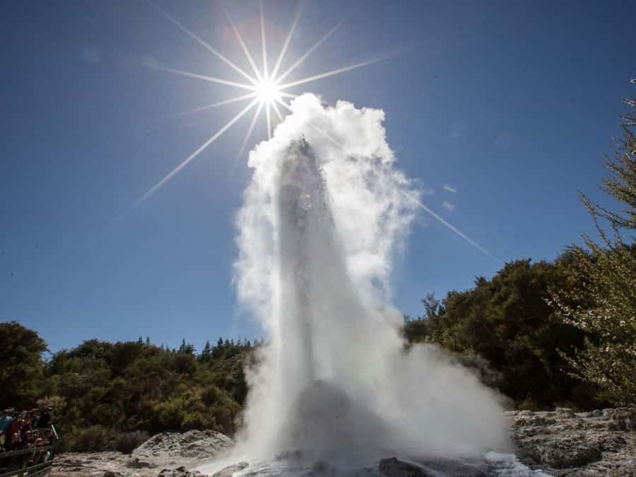 Tauranga: Wai-o-Tapu with Redwood Forest Walk or Forest Spa - Wai-o-Tapu, New Zealand’s most theatrical thermal park
