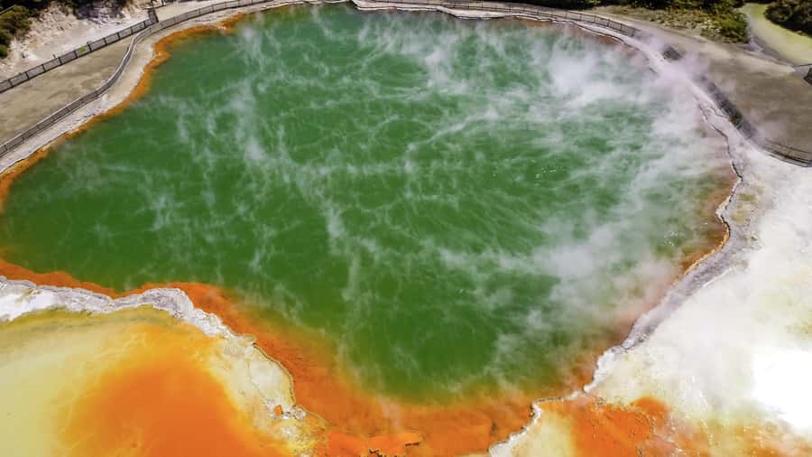 Tauranga: Wai-o-Tapu with Redwood Forest Walk or Forest Spa - Choosing your Redwood Forest finish