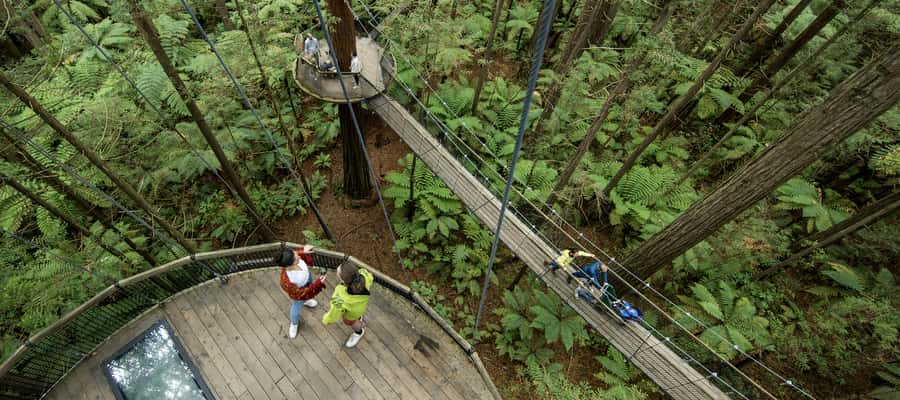 Tauranga: Wai-o-Tapu with Redwood Forest Walk or Forest Spa - Is $166 a good value?