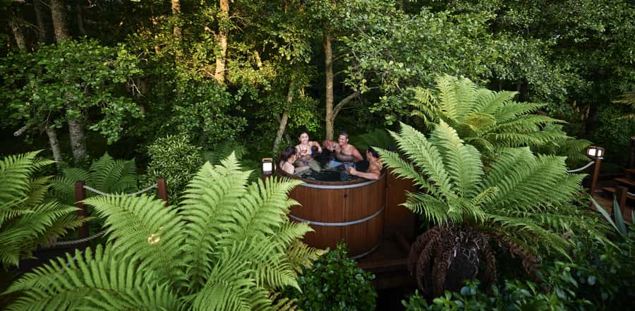 Tauranga: Wai-o-Tapu with Redwood Forest Walk or Forest Spa - Who should book this Tauranga shore excursion?