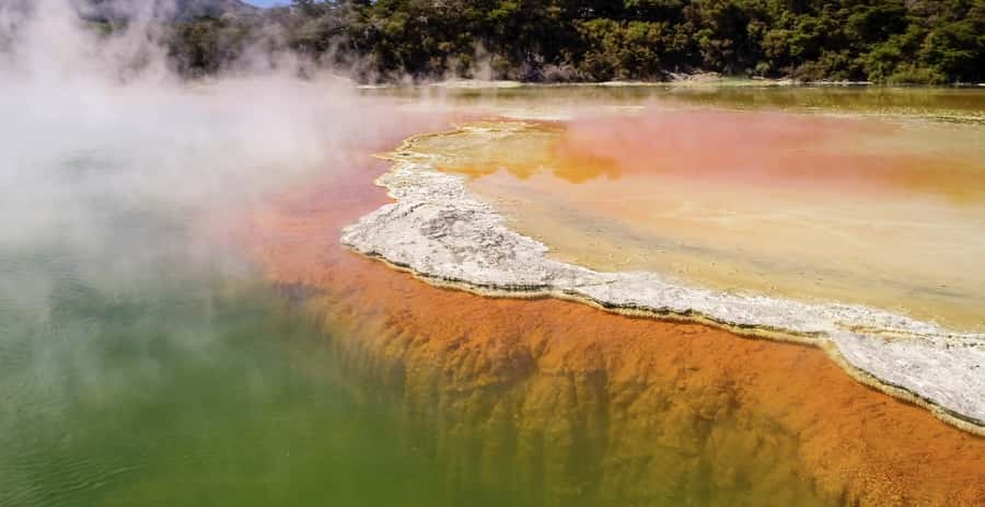 Tauranga: Wai-o-Tapu with Redwood Forest Walk or Forest Spa - Lady Knox Geyser and the limits of ship timing