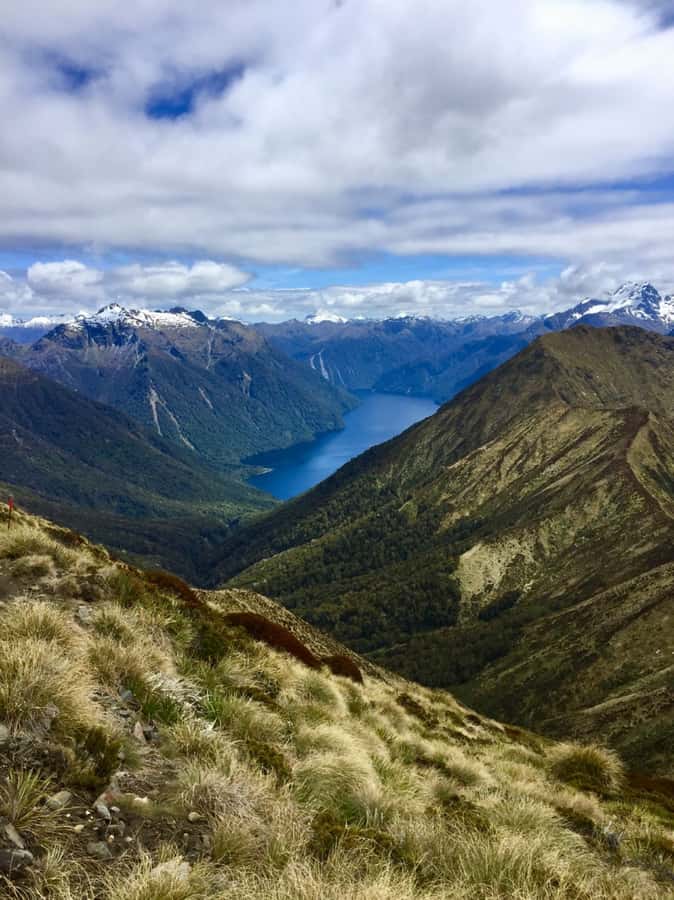 Te Anau: 30-Minute Fiordland National Park Scenic Flight - Key points at a glance