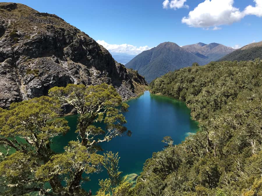 Te Anau: 30-Minute Fiordland National Park Scenic Flight - A quick flight beyond Te Anau