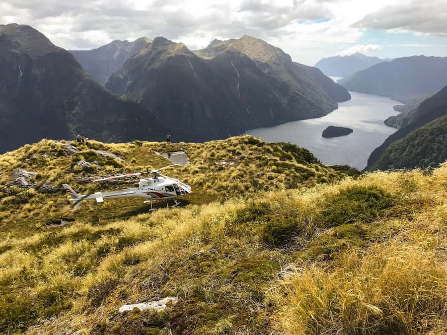 Te Anau: 30-Minute Fiordland National Park Scenic Flight - What the reviews tell me about the experience