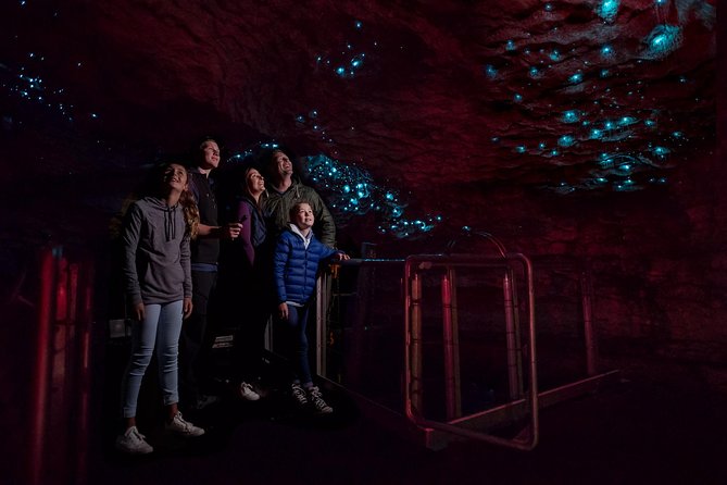 Te Anau Glow Worm Caves Tour - From Cavern House to the underground river