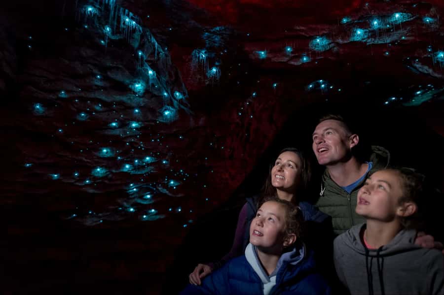Te Anau: Glowworm Caves Guided Tour - The 30-minute cruise across Lake Te Anau