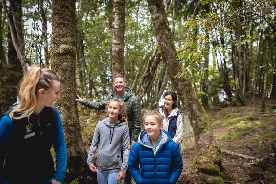 Te Anau: Glowworm Caves Guided Tour - Entering a 12,000-year-old cave system
