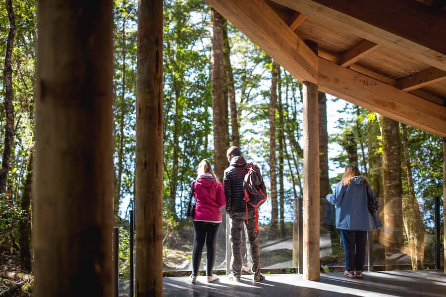 Te Anau: Glowworm Caves Guided Tour - The silent boat ride beneath the glowworms