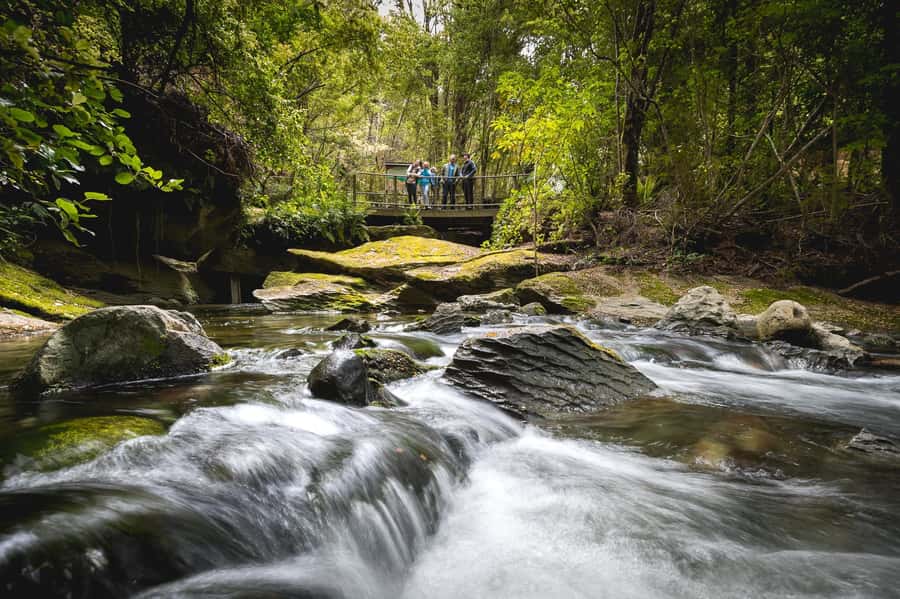 Te Anau: Glowworm Caves Guided Tour - Is $77 good value?