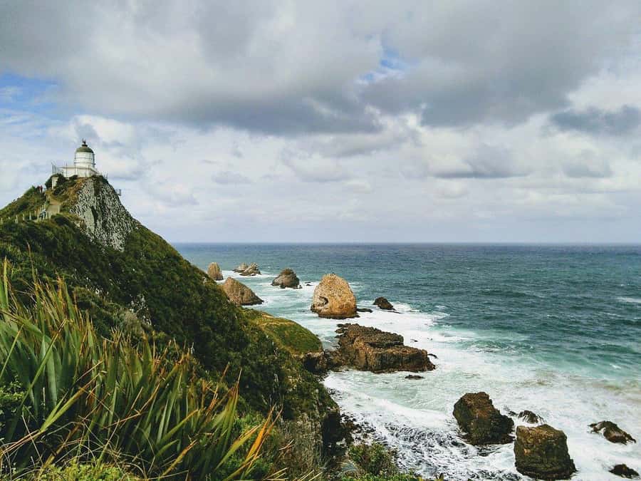 Te Anau to Dunedin via the Catlins & Invercargill 1 Way Tour - Papatowai and the Lost Gypsy Caravan