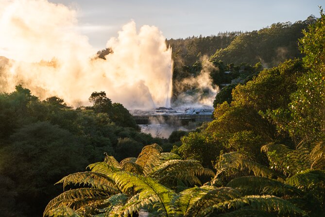 Te Puia Rotorua Experience with Optional Activities – Ex Auckland - How the full day feels from start to finish