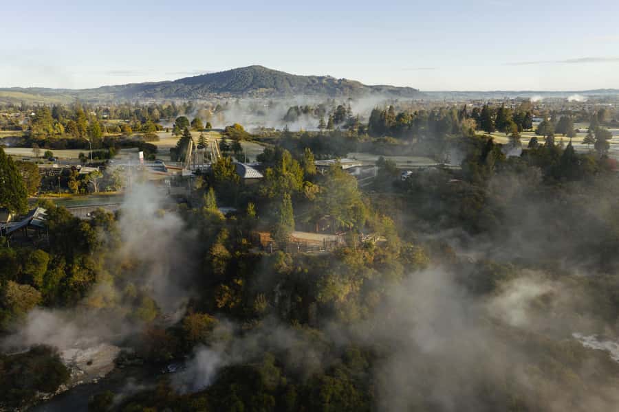 Te Puia: Te Rā Guided Day Tour - Value at $59 per person