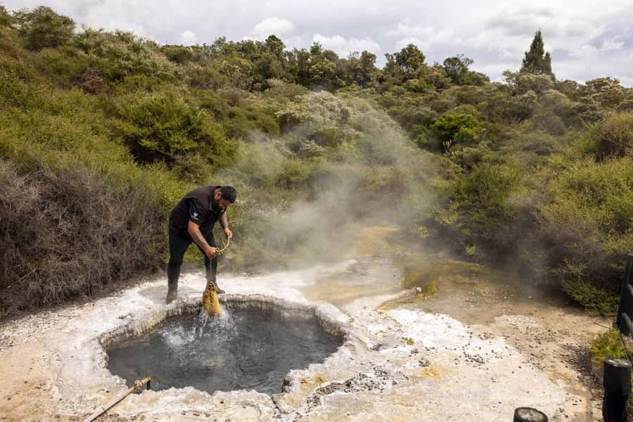Te Puia: Tuku Iho Trail with Cultural Show - Hot pools, sweetcorn, and the tale of Hatupatu