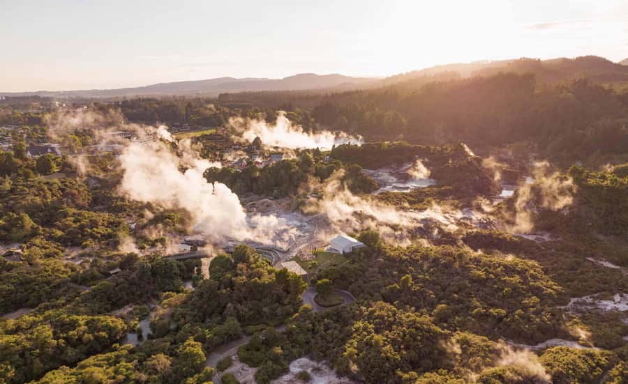 Te Puia: Tuku Iho Trail with Cultural Show - Who should book this Te Puia experience?