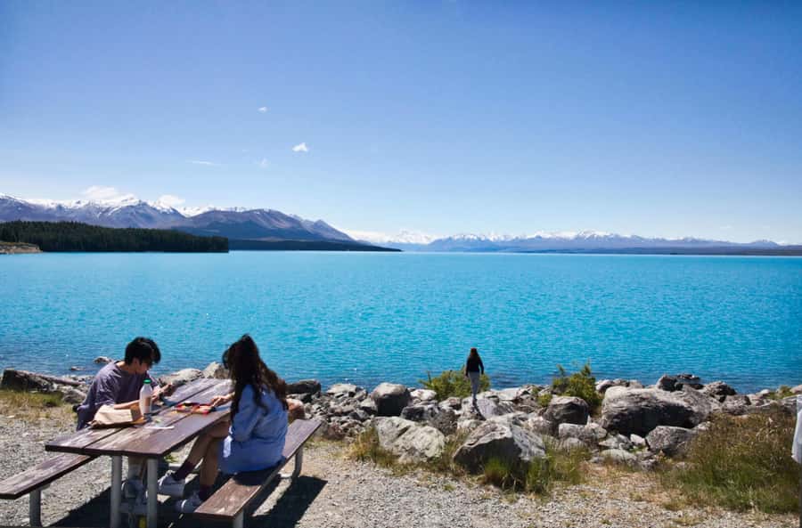 Tekapo Shuttle: Mt Cook Day Tour via Pukaki & Tasman Lake - Peter’s Lookout and the blue sweep of Lake Pukaki