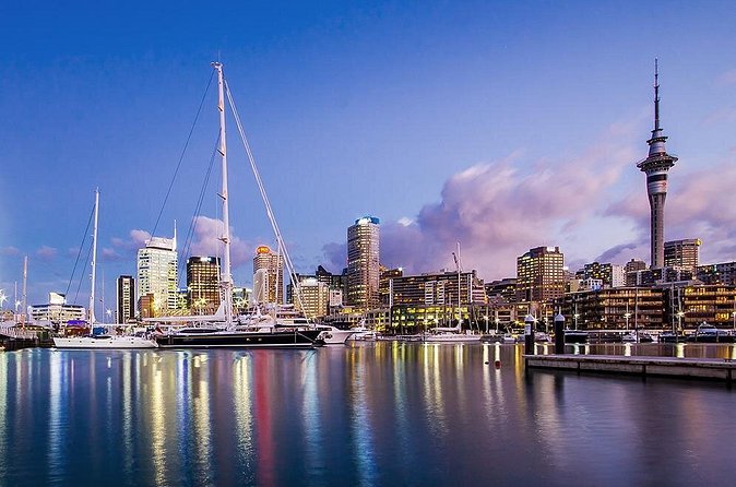 The City Lights: a unique electric bike tour of Auckland by night! - The pink Te Ara I Whiti Lightpath