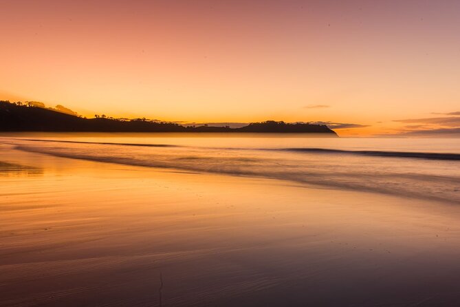 The Essence of Waiheke Wine Tour - The island drive between tastings