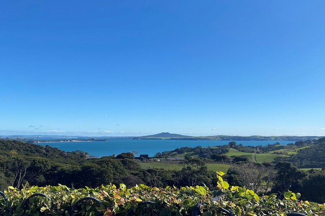 The Essence of Waiheke Wine Tour - What the $186.17 price includes