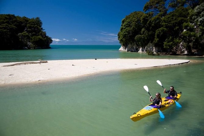 The Family Cruiser - Sea caves and nesting cormorants
