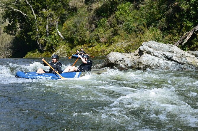 The Hobbit Barrel Run Rafting Tour on the Pelorus River - From Bluemoon Lodge in Havelock to the river