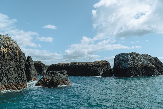The Original Full day Bay of Islands Cruise with Dolphins - Marsden Cross and the western islands
